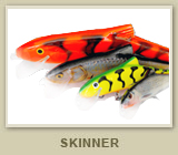 Skinner