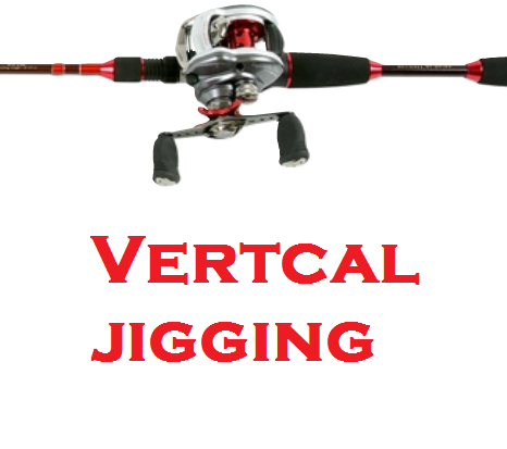 Vertical Jigging