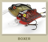 Boxer