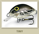 Tiny
