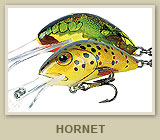 hornet