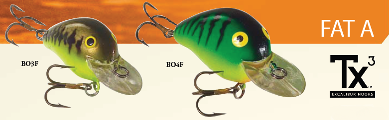 Bomber Fat A (3F, 4F)