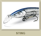Sting