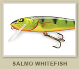 Whitefish