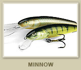 Minnow