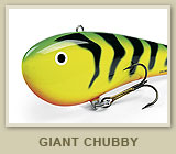 Giant Chubby