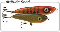 Cobbs Attitude Shad
