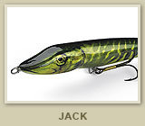 Jack