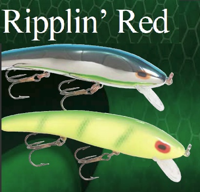 Ripplin´Red Fin