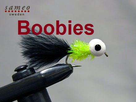 Boobies