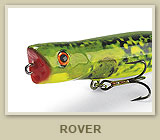 Rover