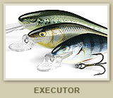 Executor