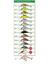 Hornet 6 Flytande 10g (2,0-3,0m)