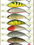 Fatso 10 sjunkande 52g (2,0-3,0m)