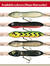 Maas Marauder Jr flytande 36g
