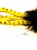 Single Hook, AIK