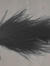 Masken (svart marabou)