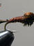 Pheasant Tail