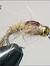Haröra Goldhead flash