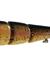 Trap Master 170mm/60g-RTR