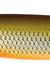 Rapala Minnow Spoon vassdrag 10cm (32g)- RFSH