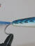 Performance salt water popper