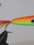 Performance salt water popper