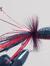 Red devil popper