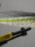 Bait fish bass
