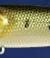 Manns stretch 20+,13cm 21g, (23) Baby Bass