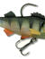 Live Pearch 2 6CM 10g (3-pack)
