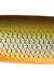 Rapala Minnow Spoon Vassdrag 8cm (22g)- RFSH