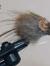 Drowning Mouse st #6